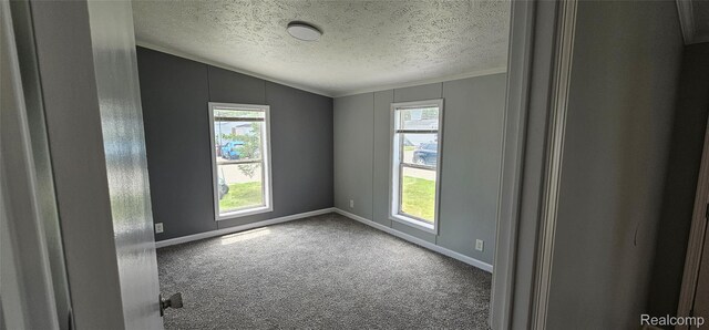 7102 Highlander Cir, Alma, MI 48801 - carpeted spare room with lofted ceiling, a textured ceiling, and ornamental molding