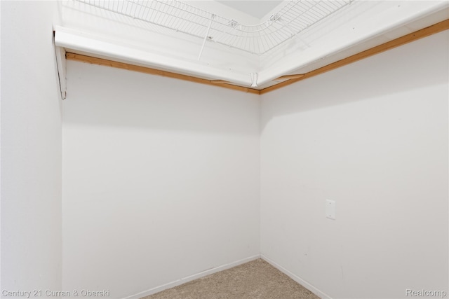 20918 W Glen Haven Cir, Novi, MI 48167 - spacious closet with carpet flooring