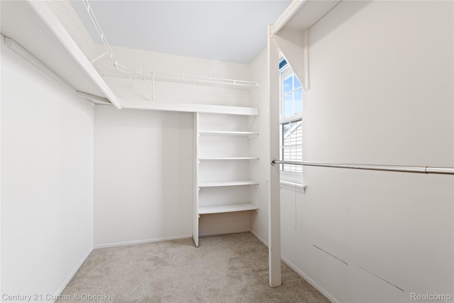20918 W Glen Haven Cir, Novi, MI 48167 - spacious closet with carpet flooring