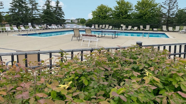 3244 Pine Run Dr, Swartz Creek, MI 48473 - community pool with a patio area