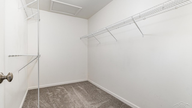 3244 Pine Run Dr, Swartz Creek, MI 48473 - walk in closet featuring carpet and attic access