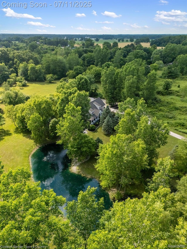9079 Pierson Rd, Fowlerville, MI 48836 - photo 8