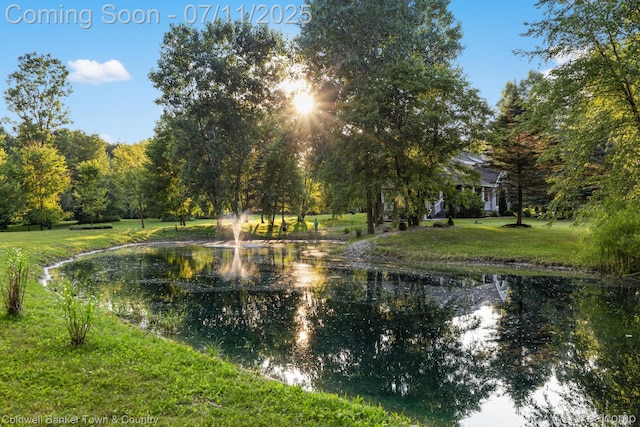 9079 Pierson Rd, Fowlerville, MI 48836 - photo 73