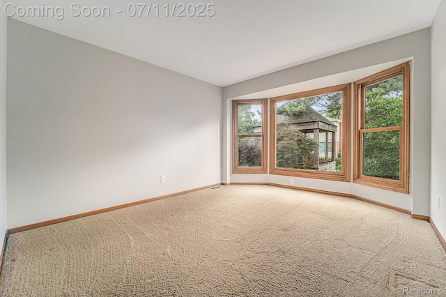 37513 Munger Dr, Livonia, MI 48154 - photo 6