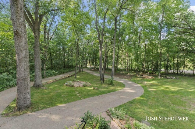 678 Pierce Rd, Plainwell, MI 49080 - view of property's community with a yard