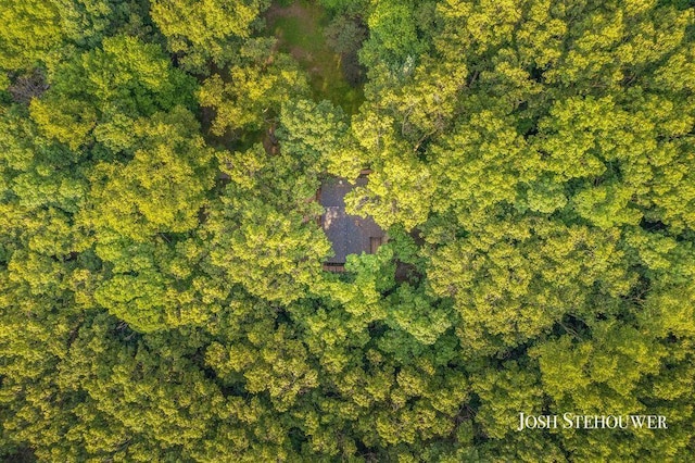 678 Pierce Rd, Plainwell, MI 49080 - aerial view of property's location