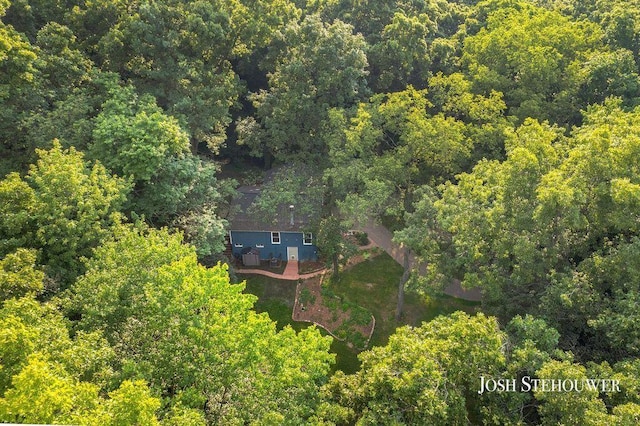 678 Pierce Rd, Plainwell, MI 49080 - view from above of property featuring a heavily wooded area