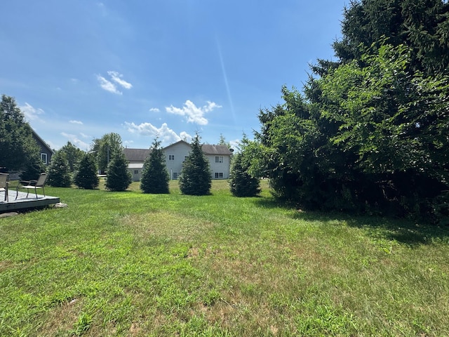12183 Grandview Dr, Jerome, MI 49249 - photo 11