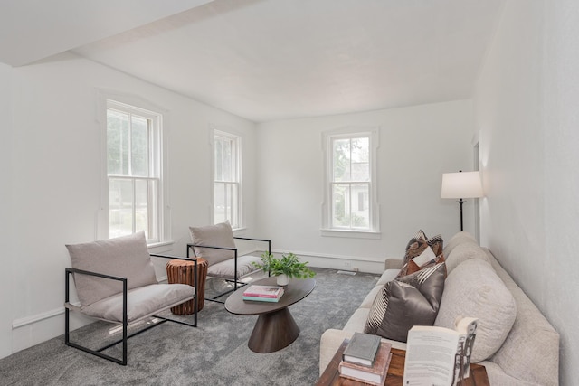 517 W Lakewood Blvd, Holland, MI 49424 - photo 5