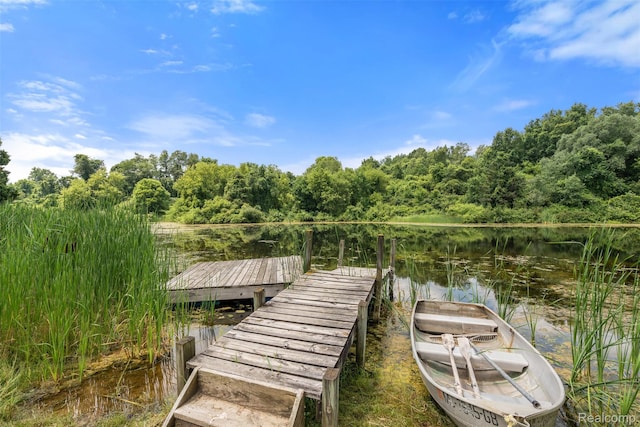 2650 N Lake George Rd, Metamora, MI 48455 - dock area featuring a water view and a forest view