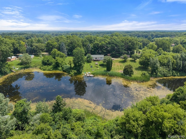 2650 N Lake George Rd, Metamora, MI 48455 - aerial view of a forest and a nearby body of water