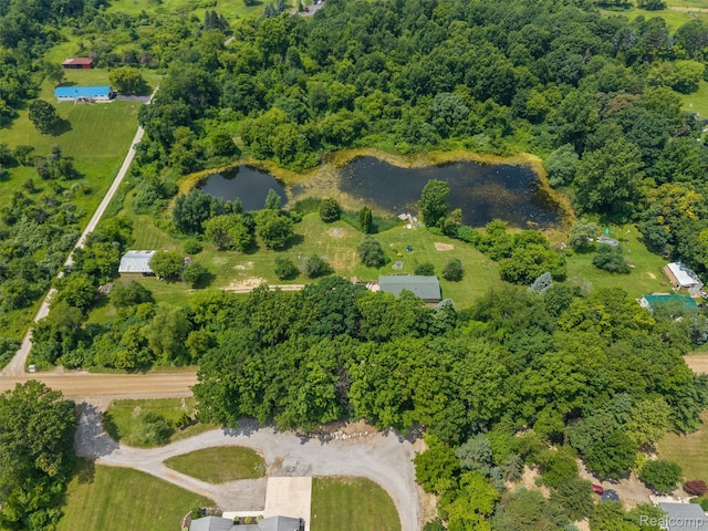 2650 N Lake George Rd, Metamora, MI 48455 - view of property location featuring a large body of water