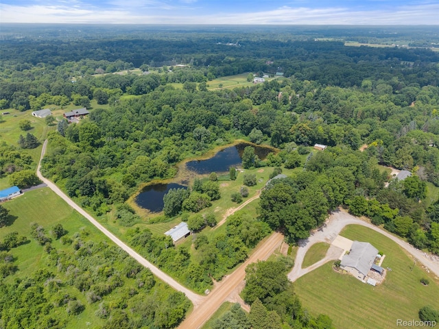 2650 N Lake George Rd, Metamora, MI 48455 - aerial view of a large body of water and a forest