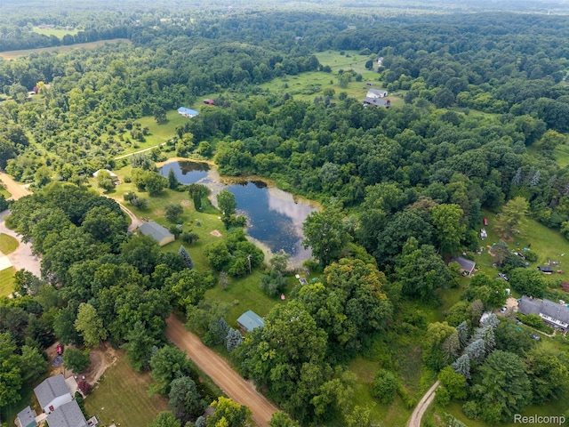 2650 N Lake George Rd, Metamora, MI 48455 - bird's eye view of a nearby body of water and a forest