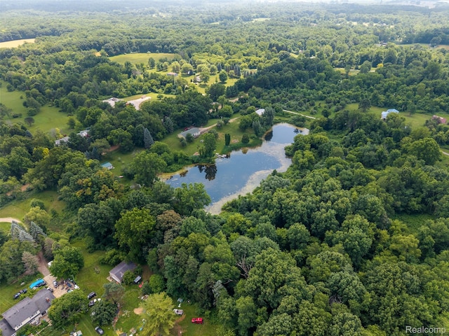 2650 N Lake George Rd, Metamora, MI 48455 - aerial view of a large body of water and a forest
