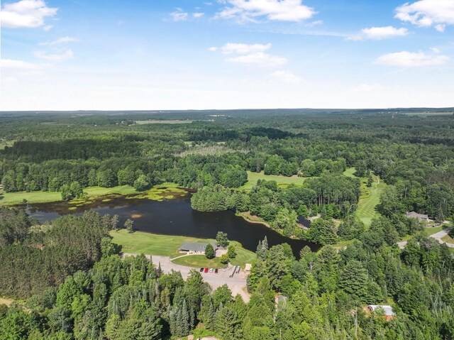 100 Greenridge Dr, Cadillac, MI 49601 - photo 43