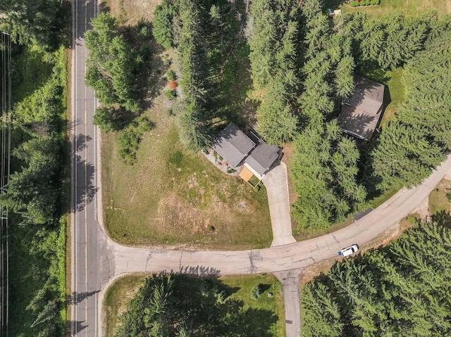 100 Greenridge Dr, Cadillac, MI 49601 - photo 47