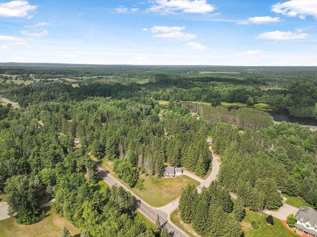 100 Greenridge Dr, Cadillac, MI 49601 - photo 45