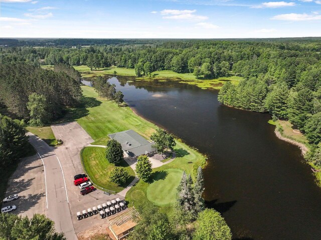 100 Greenridge Dr, Cadillac, MI 49601 - photo 46