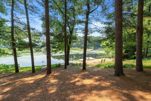 630 N 2nd St, Kalamazoo, MI 49009 - view of yard with a water view