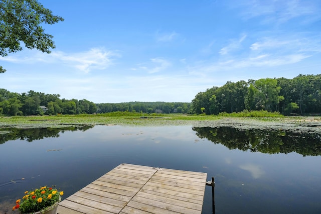 630 N 2nd St, Kalamazoo, MI 49009 - dock featuring a water view and a wooded view