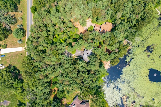 630 N 2nd St, Kalamazoo, MI 49009 - drone / aerial view of a large body of water