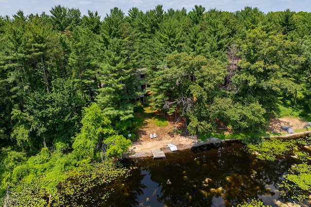 630 N 2nd St, Kalamazoo, MI 49009 - aerial view of a heavily wooded area