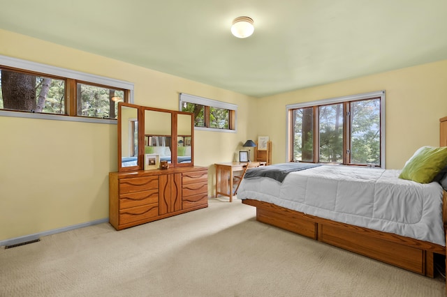 630 N 2nd St, Kalamazoo, MI 49009 - carpeted bedroom featuring multiple windows