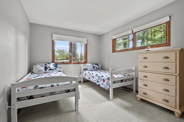 630 N 2nd St, Kalamazoo, MI 49009 - bedroom featuring multiple windows and carpet