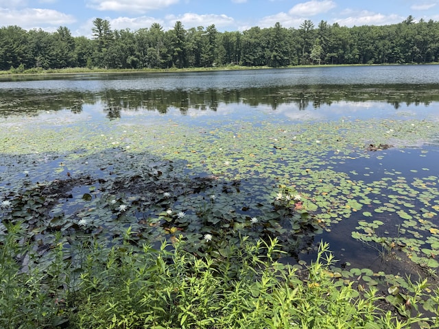 17924 Round Lake Rd, Wellston, MI 49689 - water view featuring a forest