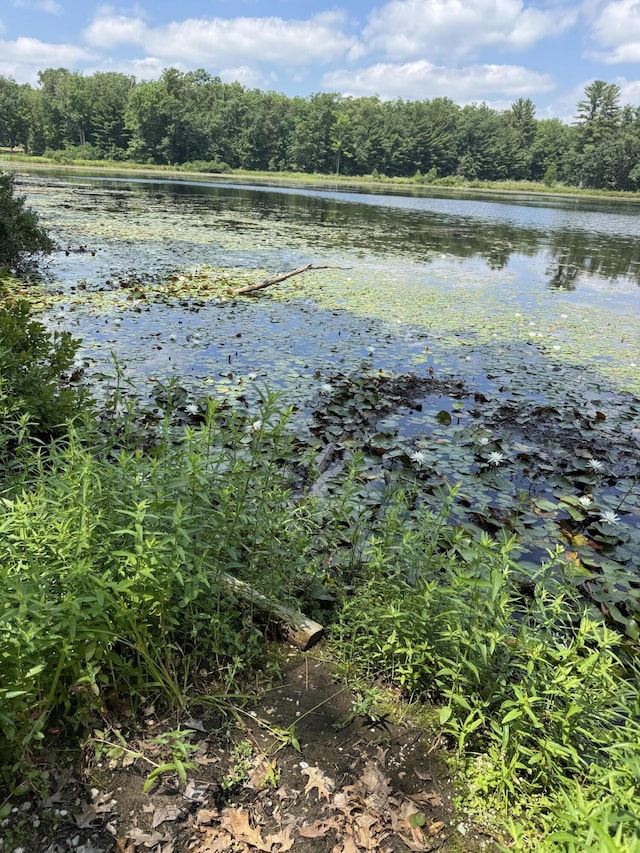 17924 Round Lake Rd, Wellston, MI 49689 - water view with a heavily wooded area