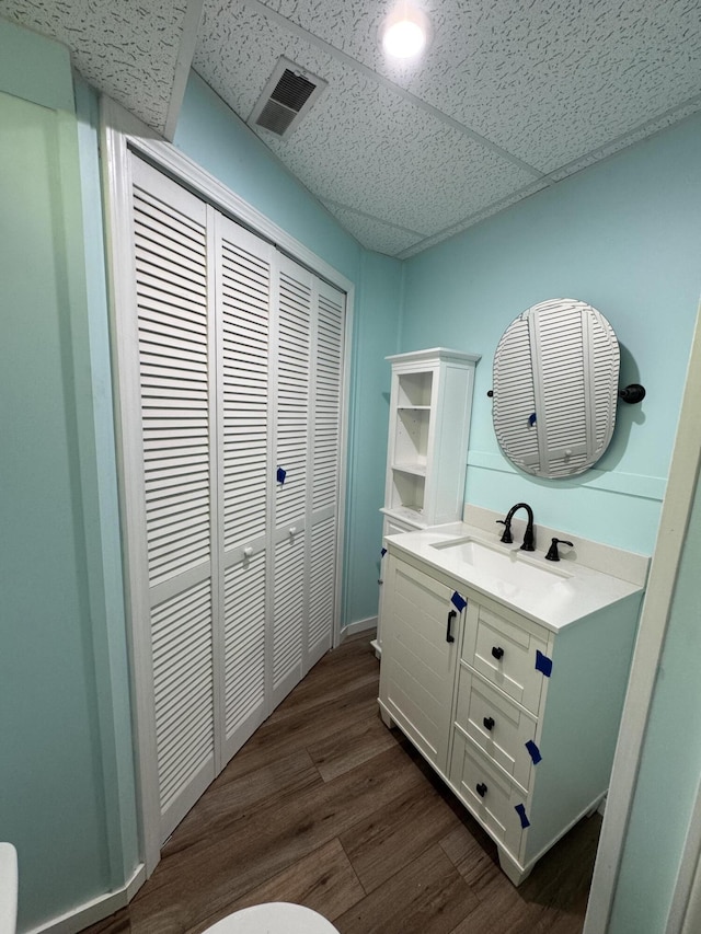17924 Round Lake Rd, Wellston, MI 49689 - bathroom featuring vanity, wood finished floors, and a closet