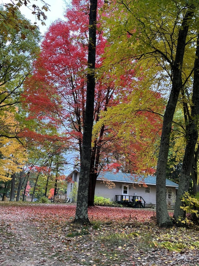 17924 Round Lake Rd, Wellston, MI 49689 - view of home's exterior