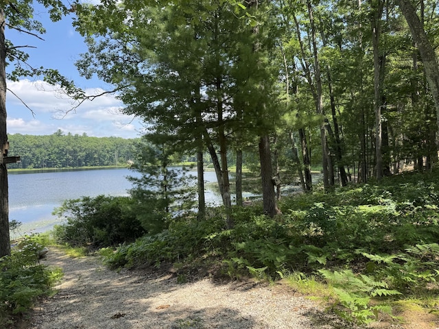 17924 Round Lake Rd, Wellston, MI 49689 - water view with a heavily wooded area