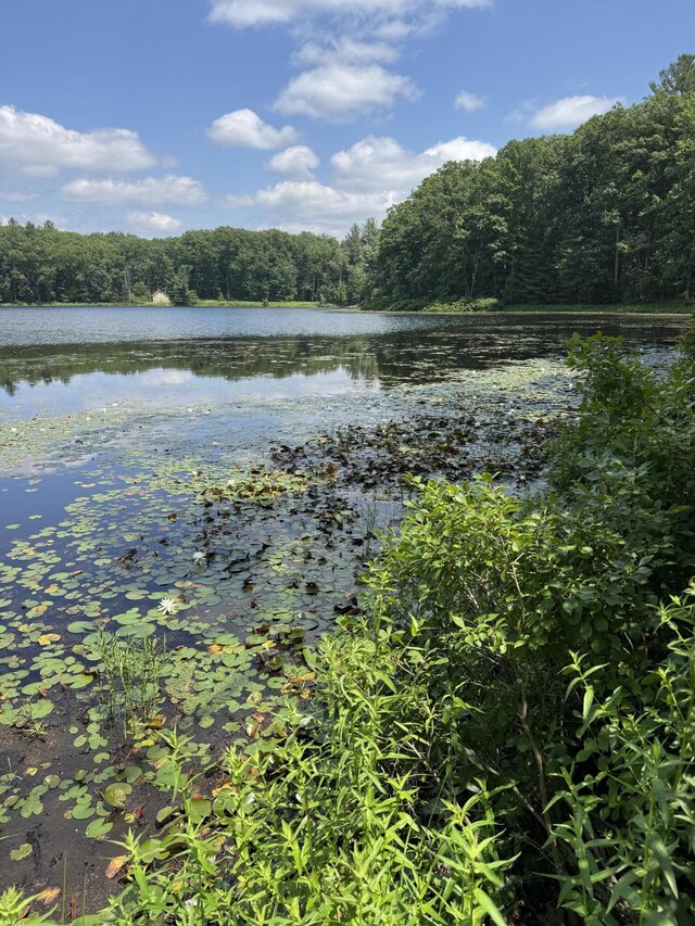 17924 Round Lake Rd, Wellston, MI 49689 - water view with a forest