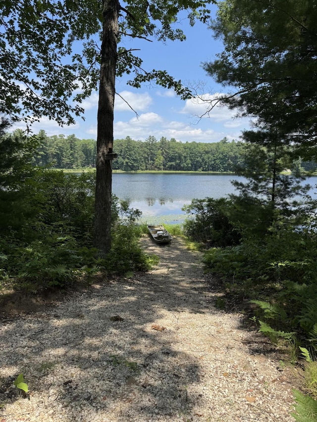 17924 Round Lake Rd, Wellston, MI 49689 - water view with a forest