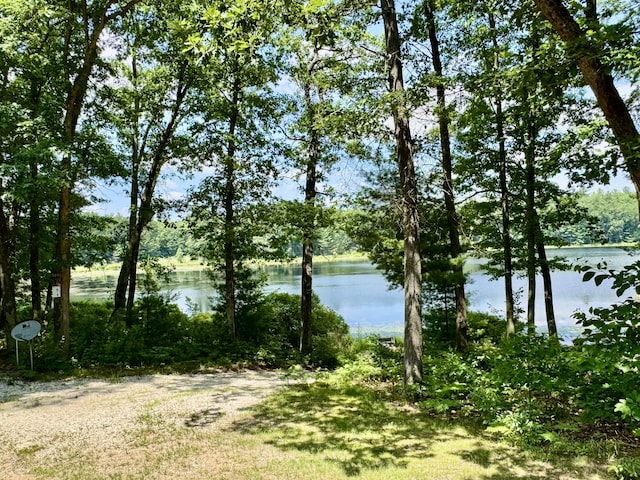 17924 Round Lake Rd, Wellston, MI 49689 - water view