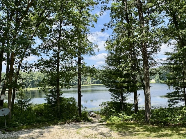 17924 Round Lake Rd, Wellston, MI 49689 - water view