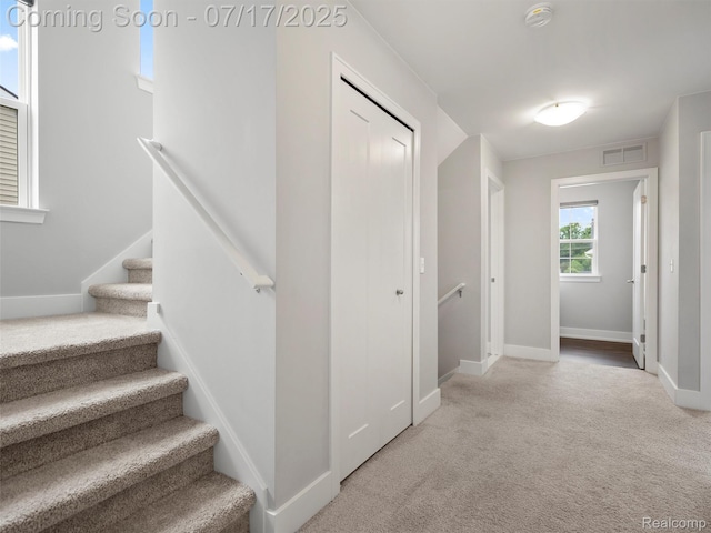 482 Wilson St, Ferndale, MI 48220 - staircase with carpet flooring and baseboards