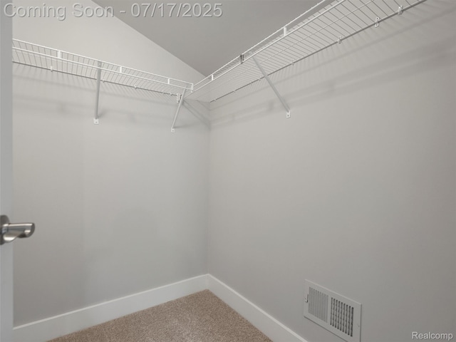 482 Wilson St, Ferndale, MI 48220 - walk in closet with carpet flooring and vaulted ceiling