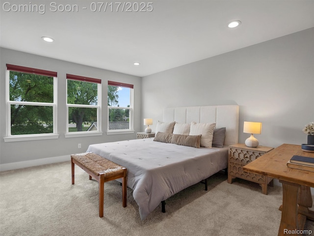 482 Wilson St, Ferndale, MI 48220 - bedroom with carpet flooring and recessed lighting