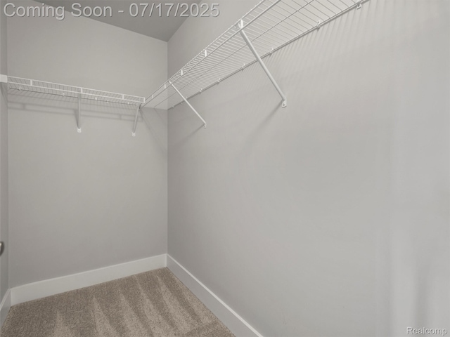 482 Wilson St, Ferndale, MI 48220 - spacious closet featuring carpet flooring