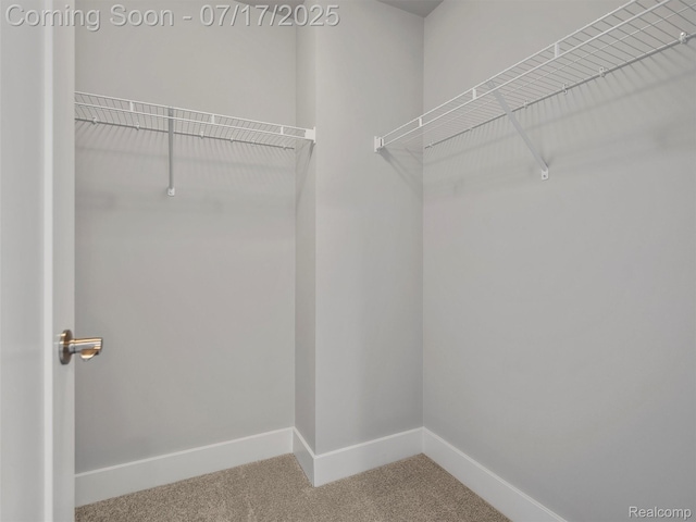 482 Wilson St, Ferndale, MI 48220 - spacious closet featuring carpet flooring