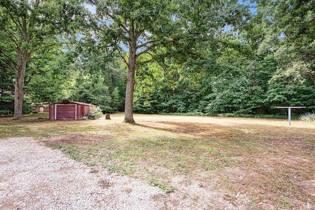 2430 140th Ave, Dorr, MI 49323 - view of yard featuring a detached garage, an outbuilding, and driveway