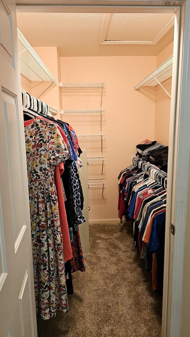 157 Carson Dr Unit 175, Westland, MI 48185 - walk in closet with carpet flooring and attic access