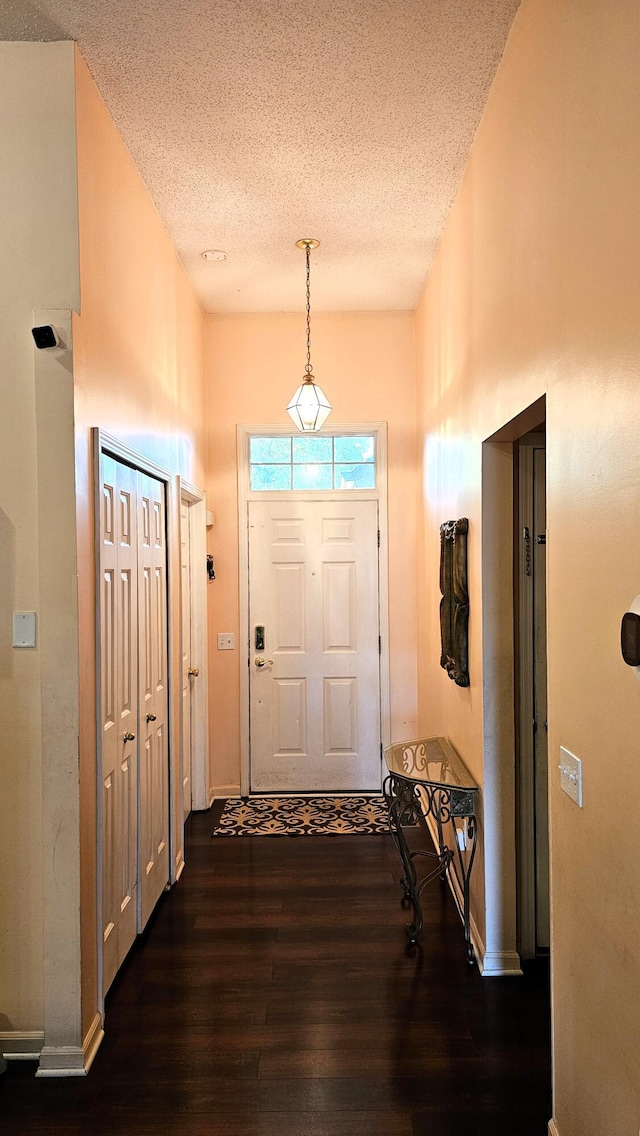 157 Carson Dr Unit 175, Westland, MI 48185 - entryway featuring dark wood finished floors and a textured ceiling