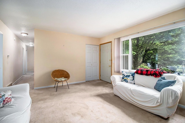 1560 G Ave W, Kalamazoo, MI 49009 - sitting room with light carpet and baseboards