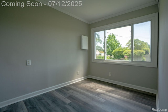 27500 Tighe St, Roseville, MI 48066 - photo 15
