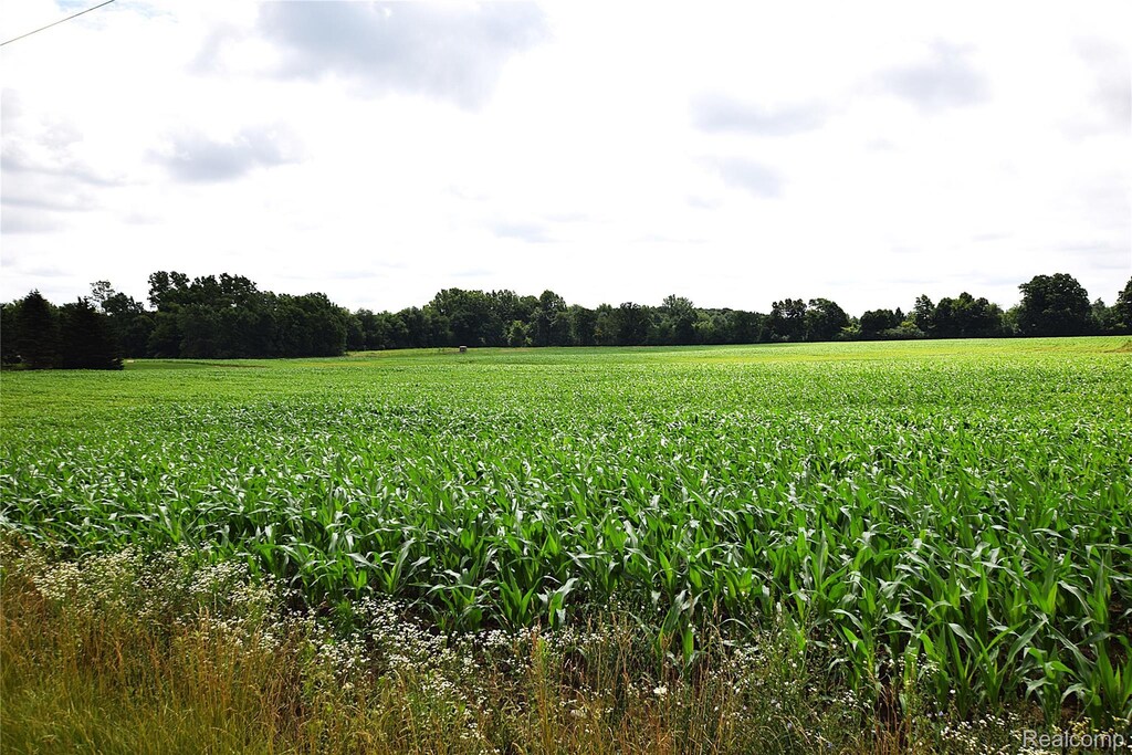 V/L N Irish Rd, Otisville, MI 48463 - photo 1