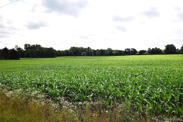 V/L N Irish Rd, Otisville, MI 48463 - photo 1